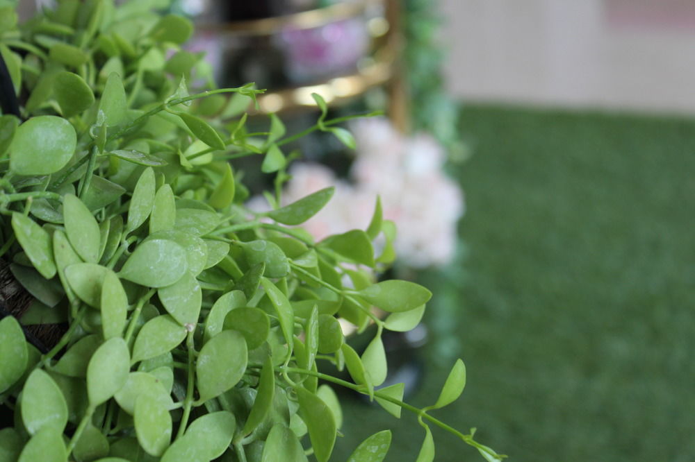 Harmony Phnom Penh Hotel Εξωτερικό φωτογραφία